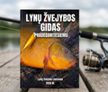Lynų žvejybos gidas